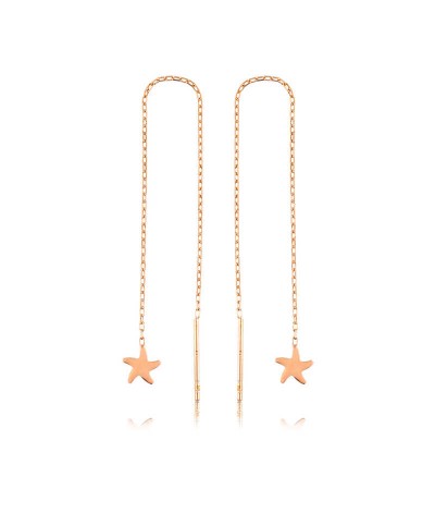 Gümüş Zincirli Deniz Yıldızı Küpe