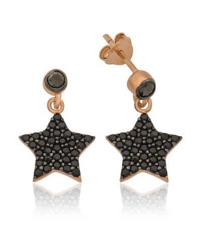 Gümüş Yıldız Küpe