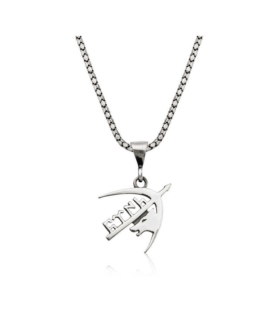 Gümüş Bozkurt Ok ve Göktürkçe Türk Yazılı Kolye