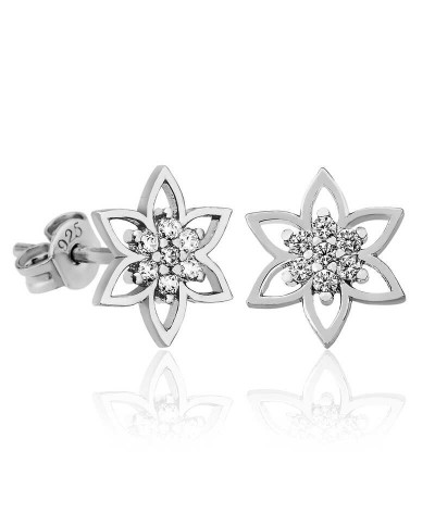 Gümüş Kristal Çiçeği Bayan Küpe