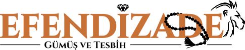 logo-efendizade.png